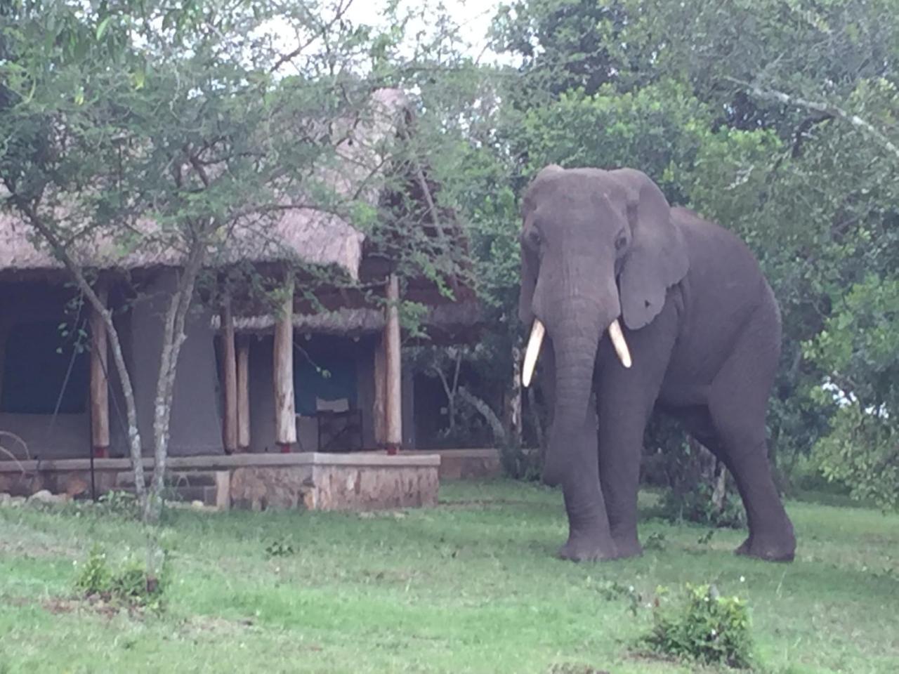 Queen Elizabeth Bush Lodge By Nature Lodges Ltd Katunguru Екстериор снимка